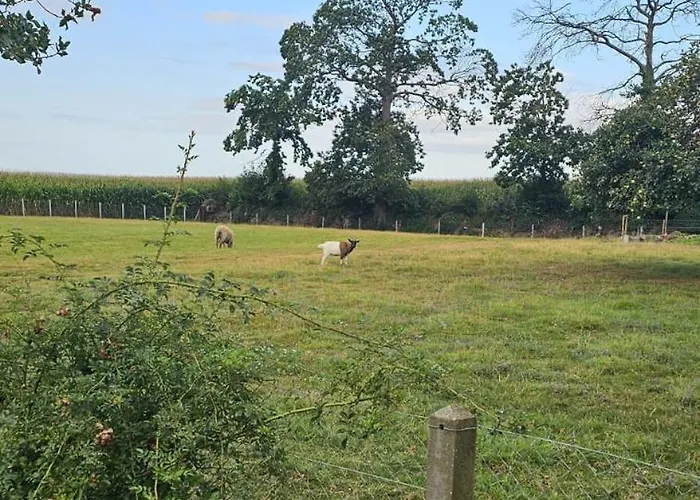 Domaine Normence En Baie Du Mont St Michel 펜션 *